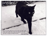 Black cat walking on snow with a quote by Martin Luther King Jr. in January.