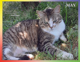 2024 Cat Lovers for LGBTQA+ Rights