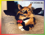2024 Cat Lovers for LGBTQA+ Rights