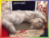2024 Cat Lovers for LGBTQA+ Rights