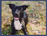 2024 Pups for Peace