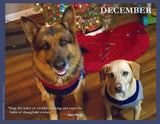 2024 Pups for Peace