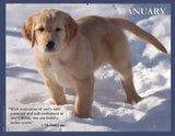 2024 Pups for Peace