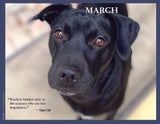 2024 Pups for Peace