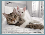 2025 Cat Lovers for Peace (Contemporary)