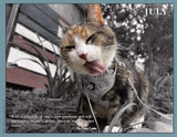 2025 Cat Lovers for Peace (Contemporary)