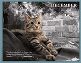 2025 Cat Lovers for Peace (Contemporary)