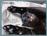 2025 Cat Lovers for Peace (Contemporary)