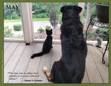 2025 Pups for Peace
