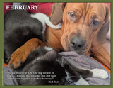 2025 Pups for Peace
