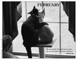 Two cats hugging in front of a window with 'February' text and a quote by Desmond Tutu.
