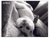 Black and white photo of a cat lying upside down on a blanket with a quote by Thich Nhat Hanh.