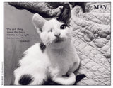 Black and white disabled cat lying on a textured blanket with a quote by Helen Keller.
