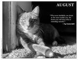 Cat lying in the sun on a carpeted floor with 'August' text and quote by Dag Hammarskjöld.