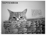 Cat peeking out from a woven basket with a quote by Lao Tzu on a black and white background.
