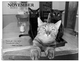 Three cats on a table with a quote from Fannie Lou Hamer in November.