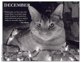 Cat surrounded by Christmas lights with a December quote on a black background