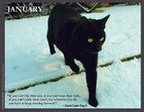 Black cat walking on snow with a quote by Martin Luther King Jr.