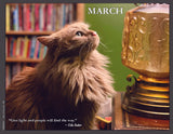 Cat looking up at a lamp with a quote by Ella Baker.