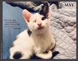 Black and white disabled cat lying on a quilt with a quote by Helen Keller.