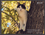 Cat perched on a tree branch with a quote by Jiddu Krishnamurti.