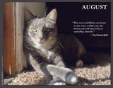 Gray cat lying on a sunny carpet with a quote by Dag Hammarskjöld.