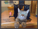 Three cats on a wooden table with a quote by Fannie Lou Hamer..