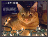 Cat surrounded by Christmas lights with a quote by Etty Hillesum.