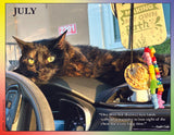 Cat lying on a car dashboard with a quote by André Gide.