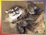 A longhair cat relaxing on the floor with a quote from Kate Bornstein.