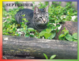 Cat in greenery with a quote from Walt Whitman.