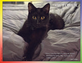 Black cat on a bed with a quote from Jean Cocteau.