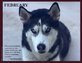 Husky dog with a quote by Dag Hammarskjöld.