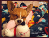 Dog sleeping with a teddy bear on a colorful blanket, with a quote by Helen Keller.