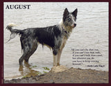 Dog standing in water with a quote by Martin Luther King Jr.