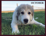 Puppy lying on grass with a quote from Fannie Lou Hamer.