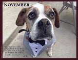 Dog in a tuxedo with a quote from Lao Tzu.