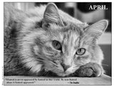 2027 Cat Lovers Against the Bomb
