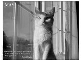 2027 Cat Lovers Against the Bomb