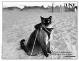 2027 Cat Lovers Against the Bomb