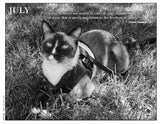 2027 Cat Lovers Against the Bomb