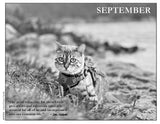 2027 Cat Lovers Against the Bomb