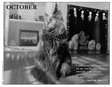 2027 Cat Lovers Against the Bomb