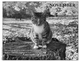 2027 Cat Lovers Against the Bomb