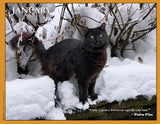 2027 Cat Lovers for Peace
