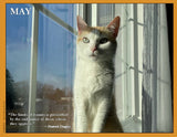 2027 Cat Lovers for Peace
