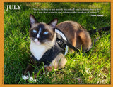 2027 Cat Lovers for Peace