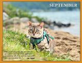 2027 Cat Lovers for Peace