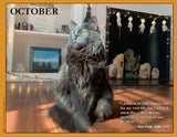 2027 Cat Lovers for Peace