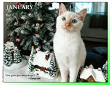 2027 Cat Lovers for LGBTQA+ Rights